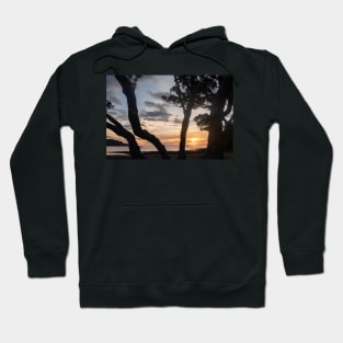 Mulberry Grove Beach Sunset. Hoodie